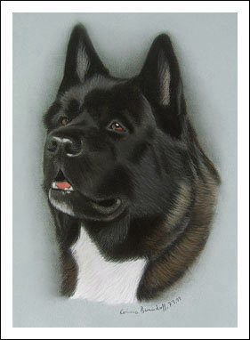 Inspirare's American Akita Inu